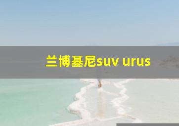 兰博基尼suv urus